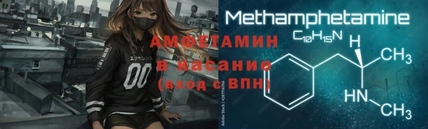 сатива Аркадак