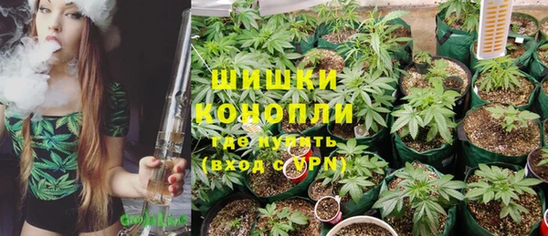 сатива Аркадак
