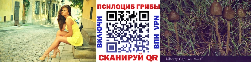 Галлюциногенные грибы Psilocybe  Томари 